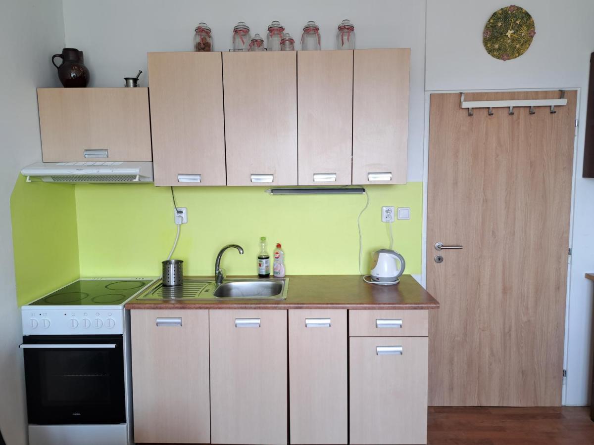 Apartman V Podhuri Krusnych Hor سوكولوف المظهر الخارجي الصورة